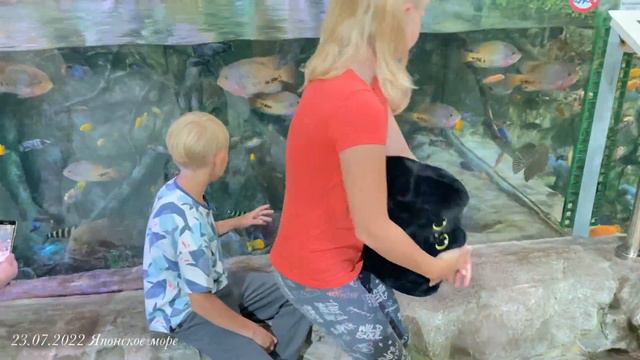 Часть 3.2. Японское море. Океанариум смотреть онлайн