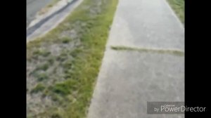 ЗАЧЕМ ЭТО ВЫКИНУЛИ ? СВАЛКА В АВСТРАЛИИ ИЛИ БЕСПЛАТНАЯ БАРАХОЛКА ОБЗОР НАХОДОК ШПЕРМЮЛЬ