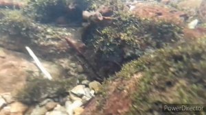 У истока майской Бурульчи-2