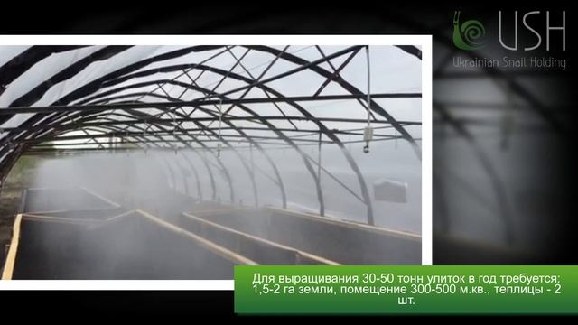 Улитка как бизнес в Украине! смотреть онлайн