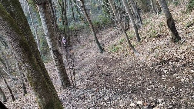 Тропа Дрозда. Мусорской подъем. +new смотреть онлайн