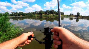 САЗАН СДЕРГИВАЛА УДИЛИЩА СО СТОЕК! ЗА 5 МИНУТ ПОЙМАЛ 3 САЗАНА! РЫБАЛКА В АСТРАХАНИ!