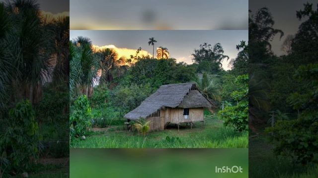 Жадный монах смотреть онлайн