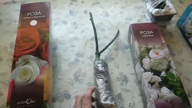 Розы, Жасмин из коробки/Питомник Кутепово смотреть онлайн