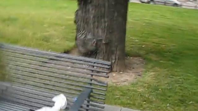 Круизик часть 11 смотреть онлайн