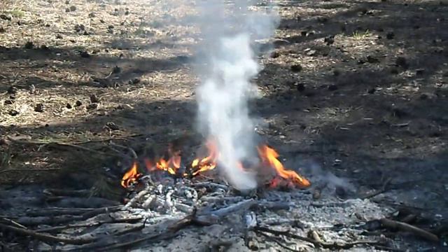 Лес, Ж/м Фрунзенский 8 апреля смотреть онлайн