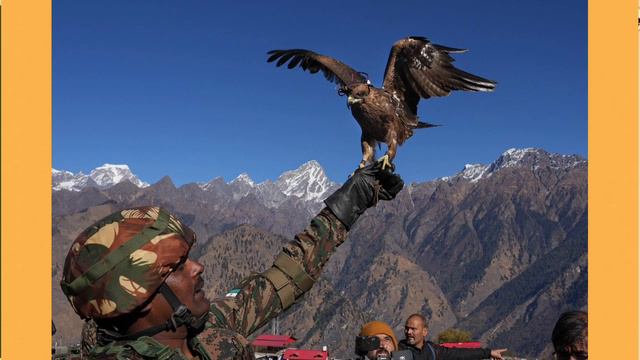 INDIAN ARMY ANTI DRONE KITE | DRONE PREDATOR KITE CHIL | PAKISTANI DRONE | NEWS# FROM TILAK смотреть онлайн