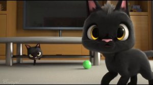 Черный кот.Жанна Агузарова.