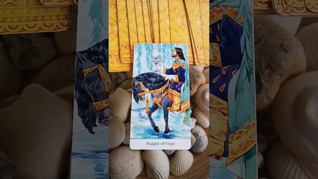 Послание от Ангела Хранителя ?♂️ #tarot #intuitivetarot смотреть онлайн