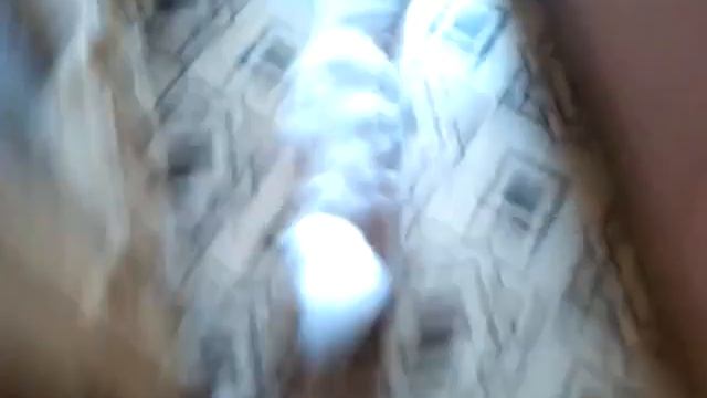 Мучаю кошку ХД :D смотреть онлайн