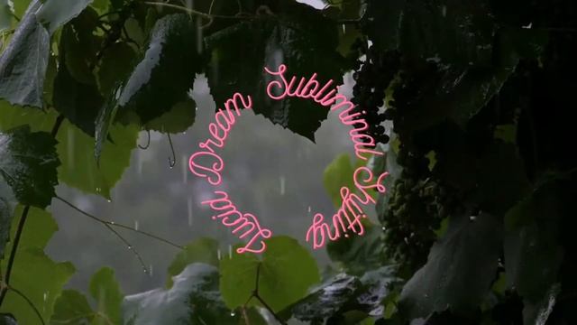 Lucid Dream Subliminal Shifting-Reality Shifting Subliminal ( Rainy Real Sound)-Relaxing Sleep Musi