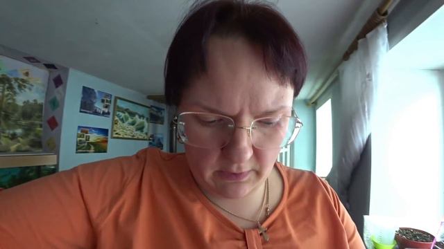 Герани. Про оценки. Ефим агитатор. Занимаемся рассадой. На почте. Поздний вечер. смотреть онлайн