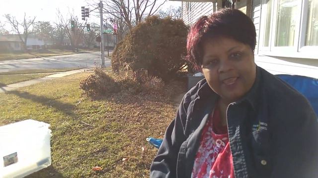 WINTER VEGGIE GARDEN:Volume 5: New Years Day Update | The grow bags Fully Transplanted. смотреть онлайн