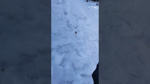 reclama sviat источник смотреть онлайн