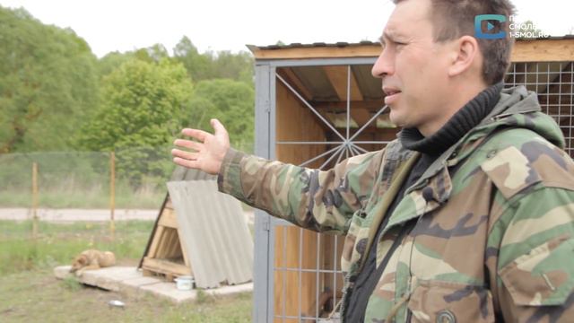 Объявлен сбор средств на строительство вольеров в приюте "Верность" смотреть онлайн