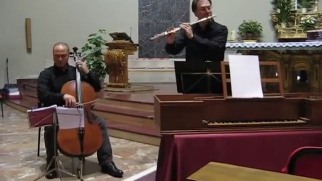 T. Albinoni Adagio - Salvatore Marzano Flute смотреть онлайн