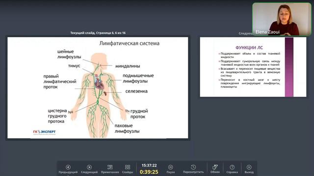 Психосоматика и натуропатия. Встреча 19. Лимфатическая система. смотреть онлайн