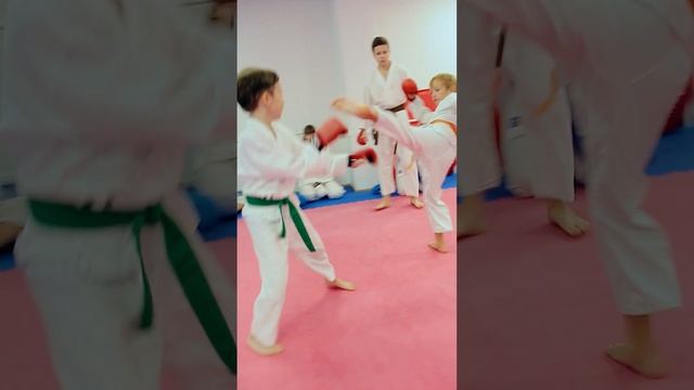 Каратэ Сётокан смотреть онлайн