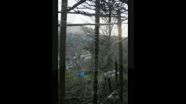 Erik Satie. Trois Gymnopédies. Nicolas Zannin, piano. смотреть онлайн