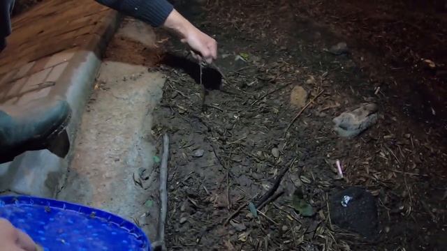 Как собирать и хранить выползков смотреть онлайн