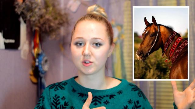 МОИ КОННЫЕ НЕТ смотреть онлайн