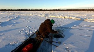 Поставил снасти на налима, и ОФИГЕЛ / Такого улова я не ожидал / Рыбалка на налима