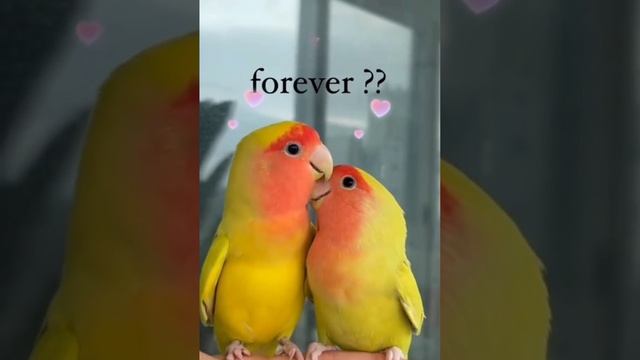 VID_20230414_203436_975.mp4 смотреть онлайн