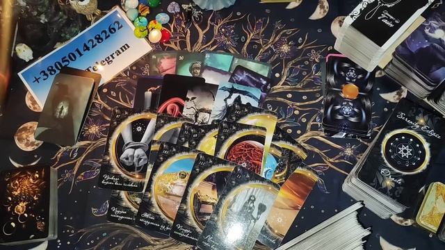 КРЫСА В ДЕПРЕССИЮ ВПАЛА ПОТОМУ ЧТО ПОНЯЛА ТО ЧТО ПРОИГРАЛА?️????? смотреть онлайн