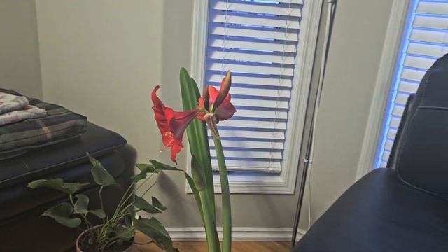 10 января 2024 г. смотреть онлайн