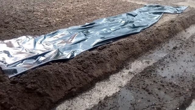 Сажаю огурцы и весь сезон без полива . проверено годами! Часть1 смотреть онлайн