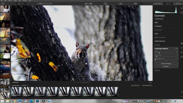 Luminar 4 Get rid of Chromatic Adoration смотреть онлайн