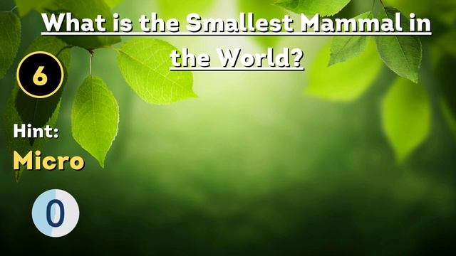 Take the Ultimate WILDLIFE QUIZ and Test Your Knowledge | Can You Guess the Right Answers? смотреть онлайн
