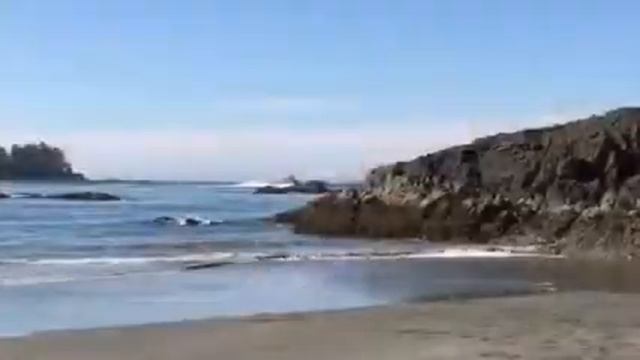 Путешествие в Тофино смотреть онлайн