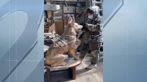 Собаки-герои в зоне СВО: истории, тронувшие сердца миллионов россиян