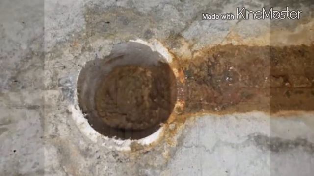 Неизвестные Животные Планеты Земля 154 - Гигантская Креветка Из Прачечной смотреть онлайн