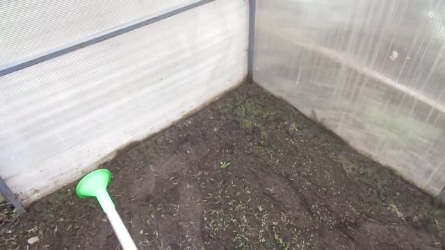 ОБРАБОТКА ТЕПЛИЦЫ МЕДНЫМ КУПОРОСОМ УНИЧТОЖИТ ВСЮ ПРОШЛОГОДНЮЮ ФИТОФТОРУ. Ольга Чернова. смотреть онлайн