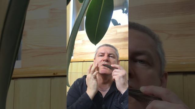 Варган Глазырина (Сахара, Индеец, Солнце, Змея) смотреть онлайн