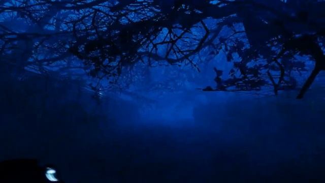 первый взгляд и прохождение Scared 2 часть 1