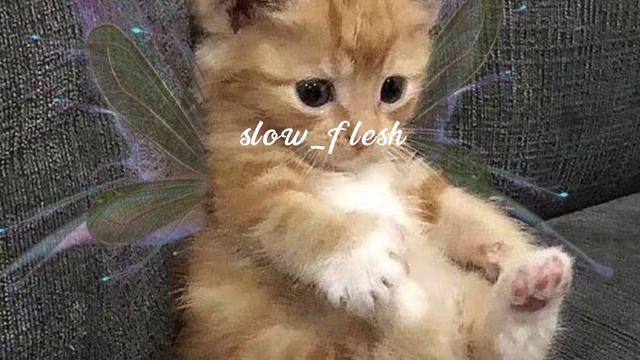 апрельская сирень [ slowed ] 🖤 смотреть онлайн