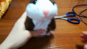 Запоздалый подарок из Китая! Хомяк-повторюшка! A belated gift from China! Hamster repeat!