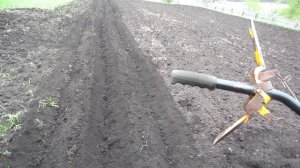 ПОСАДКА КАРТОШКИ МОТОБЛОКОМ от А до Я, Мой ЛУЧШИЙ СПОСОБ!!!