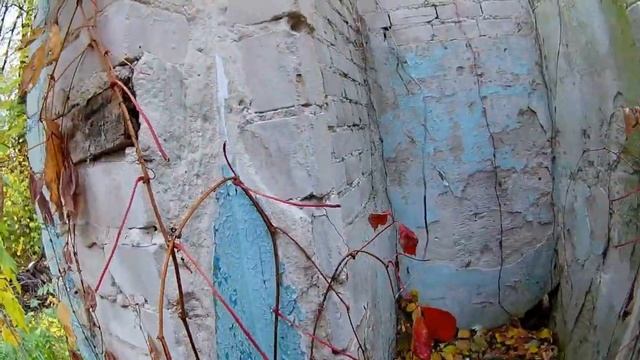 Бывший детский лагерь Салют и руины дачи Всеволожского М. Н. смотреть онлайн