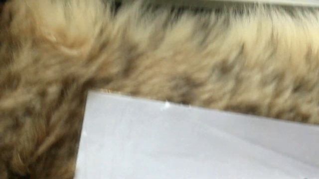 СКС.Воронение шомпола смотреть онлайн