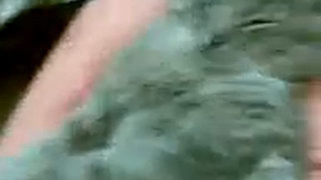 Самый ленивый кот в мире смотреть онлайн