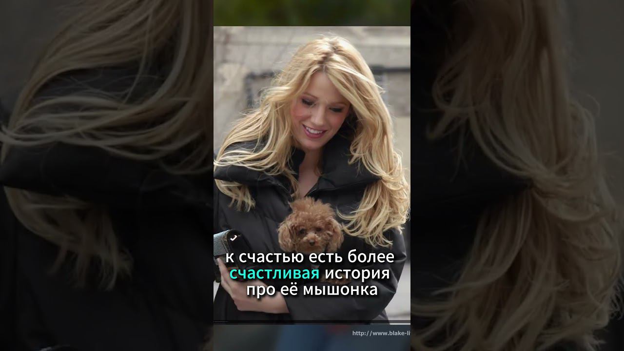 Мальтипу самая популярная порода среди знаменитостей #shorts смотреть онлайн