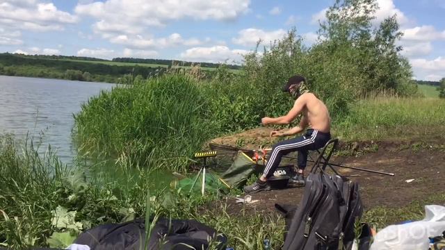 Рыбалка на фидер.Летняя рыбалка. смотреть онлайн