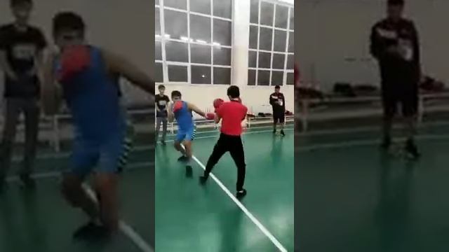 Циркуль в боксе! смотреть онлайн