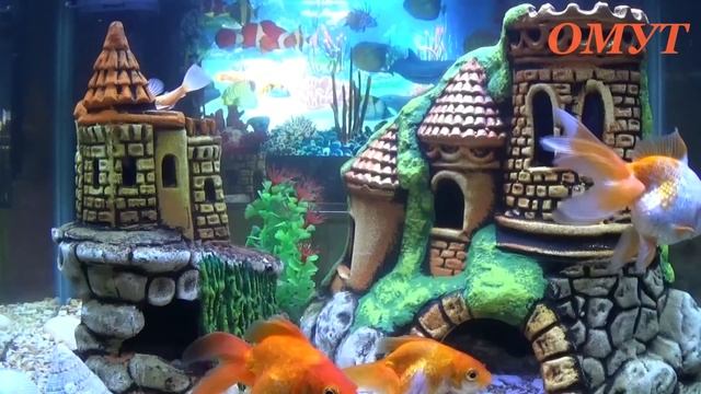 366. ФЛЕШМОБ - ПОШЛИ РОДНЫЕ!!! смотреть онлайн