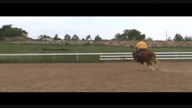 8 - Stylish Guns.wmv смотреть онлайн