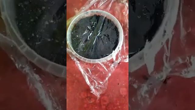 Сборник популярных коротких видио . смотреть онлайн